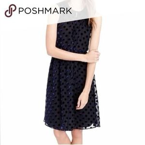 JCrew Velvet Polka Dot Dress